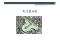 브루너 레포트-6