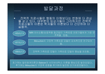 전략적 가족치료-4