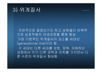 전략적 가족치료-17