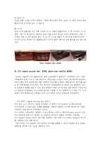 대중음악과 산업-13