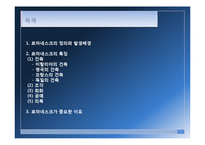 [현대디자인] 로마네스크-2
