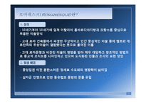 [현대디자인] 로마네스크-3