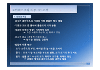 [현대디자인] 로마네스크-9