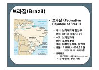 브라질의 경제위기-4