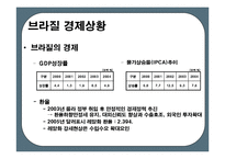 브라질의 경제위기-8