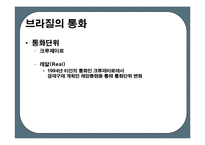 브라질의 경제위기-11