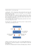 [파생상품전략론] AIG 사태에 대한 고찰-6