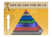 (조직구조론) `혁신과 변화`를 요약한 발표 파워포인트-17