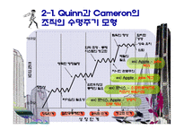 (조직구조론) `조직성장`을 요약한 발표 파워포인트-9