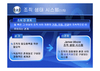 (조직구조론) `조직간관계`를 요약한 발표 파워포인트-4