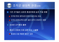 (조직구조론) `조직간관계`를 요약한 발표 파워포인트-16