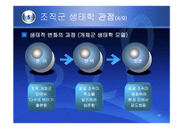 (조직구조론) `조직간관계`를 요약한 발표 파워포인트-18