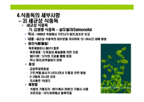 [식중독(食中毒) 이해와 예방] 식중독(食中毒) 이해와 예방-8