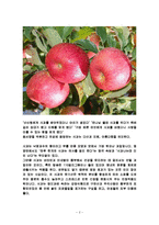 [식품학, 식품영양학] 사과의 특징과 효능 및 영양성분(식품학)-2