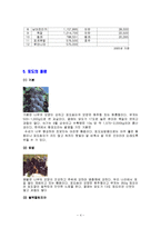 [식품학, 식품영양학] 포도의 특징과 효능 및 영양성분(식품학)-4