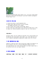 [식품학, 식품영양학] 포도의 특징과 효능 및 영양성분(식품학)-8