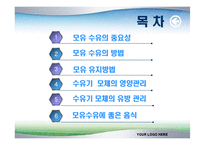 [모유수유의 중요성과 영양관리] 모유수유의 중요성과 영양관리 ppt자료-2