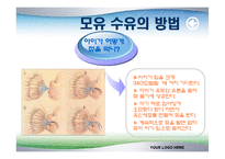 [모유수유의 중요성과 영양관리] 모유수유의 중요성과 영양관리 ppt자료-4