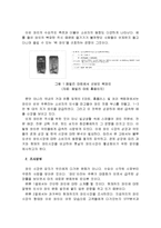 [시장조사론] [시장조사론]국내 와인산업 분석 및 발전방향(A+리포트)-3