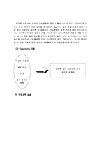 [시장조사론] [시장조사론]국내 와인산업 분석 및 발전방향(A+리포트)-11