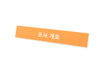 [마케팅조사] [마케팅조사]테마파크’ 롯데월드 마케팅전략 수립을 위한 조사 제안서(A+리포트)-4