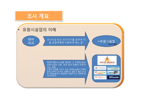 [마케팅조사] [마케팅조사]테마파크’ 롯데월드 마케팅전략 수립을 위한 조사 제안서(A+리포트)-8