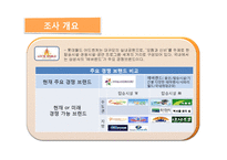 [마케팅조사] [마케팅조사]테마파크’ 롯데월드 마케팅전략 수립을 위한 조사 제안서(A+리포트)-9