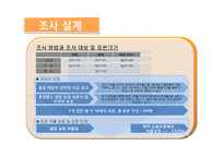 [마케팅조사] [마케팅조사]테마파크’ 롯데월드 마케팅전략 수립을 위한 조사 제안서(A+리포트)-13