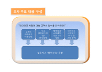 [마케팅조사] [마케팅조사]테마파크’ 롯데월드 마케팅전략 수립을 위한 조사 제안서(A+리포트)-16