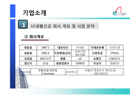 [다국적기업론] LG생활건강의 해외 진출 전략-4