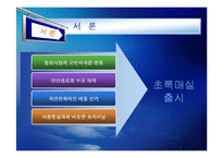 [기업의 마케팅 전략] 초록매실, 롯데리아 마케팅 사례-4