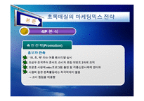 [기업의 마케팅 전략] 초록매실, 롯데리아 마케팅 사례-11