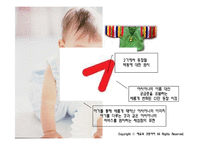 아시아나 광고 기획서-11