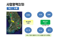 [mis, 경영정보시스템] 한국 P&G의 IT현황과 분석-12