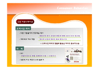 [소비자행동] 대인적 영향 -준거집단, 구전, 확산-18