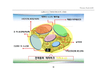 [테마파크 기획] 전래동화 테마파크 새로운 문화공간 창조-16