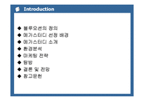 [마케팅관리론] 메가스터디 마케팅 전략-2