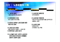 [노사관계론] 세계 주요국의 노사관계-9