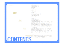 스카이 SKY 08년도 하반기 커뮤니케이션전략-2