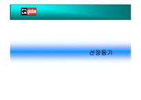[국제경영론](주)제이슨 상사 기업의 해외진출 사례 분석-5
