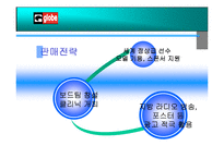 [국제경영론](주)제이슨 상사 기업의 해외진출 사례 분석-16