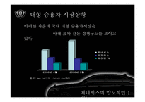 [매체기획] 체어맨W 매체기획서-3