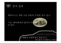 [매체기획] 체어맨W 매체기획서-12