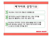 [유통관리] 메가마트 분석-5