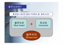 [소비자행동] 블루슈머 마케팅-4