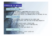 [소비자행동] 블루슈머 마케팅-11