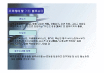 [소비자행동] 블루슈머 마케팅-13
