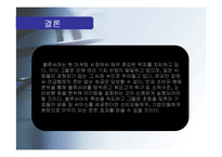 [소비자행동] 블루슈머 마케팅-15