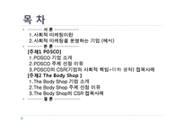 [사회적 마케팅 실현 기업 및 사회적 마케팅 경영 조사] POSCO(포스코), The Body Shop(더바디샵)-2