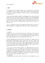 신 시장 진출을 위한 e-파트너십 -SK텔레콤과 하나로통신의 합병사례(SK 브로드밴드)-2